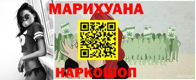 стаф Новодвинск
