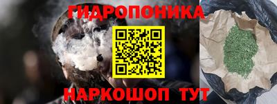 стаф Новодвинск