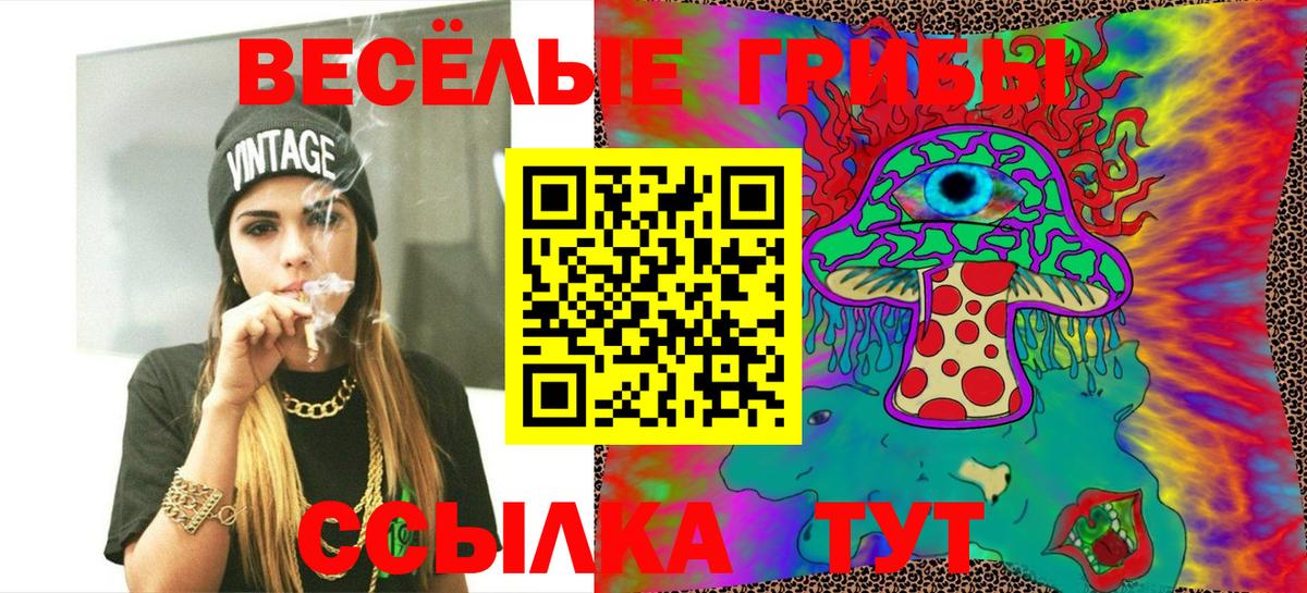 Тольятти  Псилоцибиновые грибы GOLDEN TEACHER  Псилоцибиновые грибы Magic Shrooms  Вход с VPN 